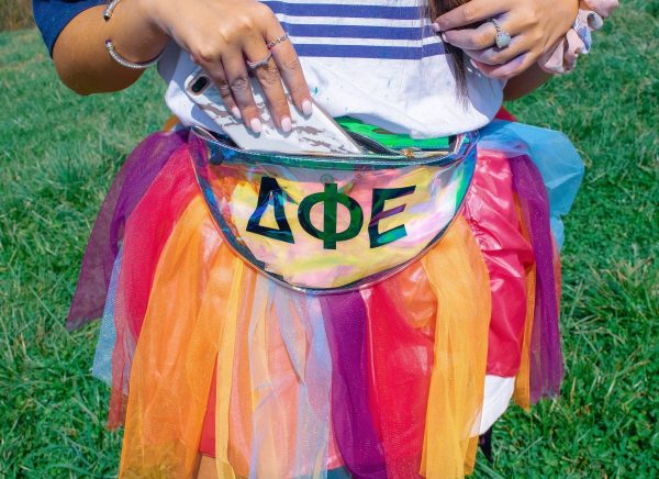 Delta Zeta Sorority Fanny Pack Cheap